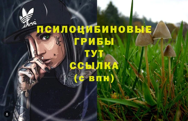 гашиш Приозерск